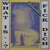 12inch Vinyl Single - Friends Of Alex - What Is..? Fick Dich