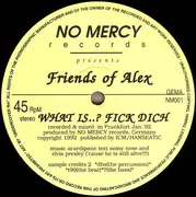 12inch Vinyl Single - Friends Of Alex - What Is..? Fick Dich