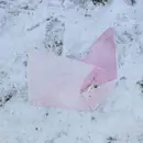 LP - Friends Of Gas - Fatal Schwach - Pink vinyl