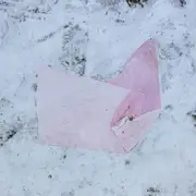 LP - Friends Of Gas - Fatal Schwach - Pink vinyl