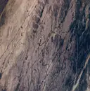 12inch Vinyl Single - Friends Of Gas - Carrara - Marble Vinyl, Ltd Ed.