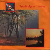 Friends Again - Sunkissed