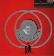 12inch Vinyl Single - Fruits Of The Paradise - A Man Like You