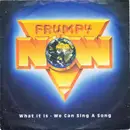 7inch Vinyl Single - Frumpy - What It Is