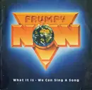 CD Single - Frumpy - What It Is