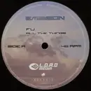 12inch Vinyl Single - Fu - All The Things / Beginning Of The Storm