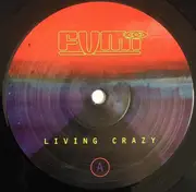 12inch Vinyl Single - Fumi - Are You Living? / Crazy