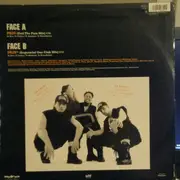 12inch Vinyl Single - Fun Factory - Pain