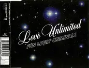 Fun Lovin' Criminals - Love Unlimited