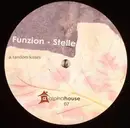 12inch Vinyl Single - Funzion - Stelle