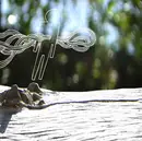 CD - Function - The Secret Miracle Fountain