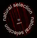 12inch Vinyl Single - Funk Freaks - Blow-Back