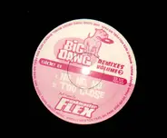 Funkmaster Flex - Big Dawg Remixes Volume 2
