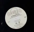 12inch Vinyl Single - Funkmaster Flex - My Lifestyle (Remix)