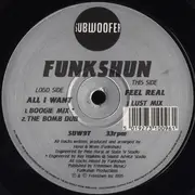 12inch Vinyl Single - Funkshun - All I Want