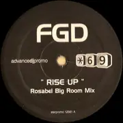 12inch Vinyl Single - Funky Green Dogs - Rise Up