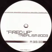 Funky Green Dogs / Thimo U. Seidel - Fired Up / Drums On Fire
