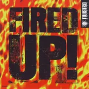 CD Single - Funky Green Dogs - Fired Up!
