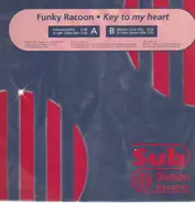 Funky Racoon - Key To My Heart