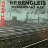 LP - Fuat Saka - Nebengleis - Kenardaki Ray