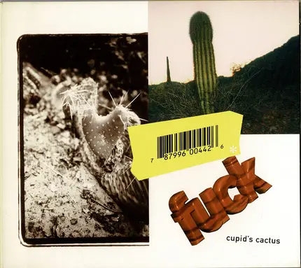 Fuck - Cupid's Cactus
