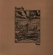 12inch Vinyl Single - Fucked Up - Bruises - FOC