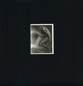 Fucked Up - Year of the Dog