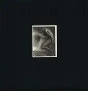 12inch Vinyl Single - Fucked Up - Year Of The Dog - FOC