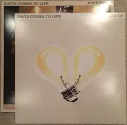 Double LP - Fucked Up - David Comes To Life - Gatefold