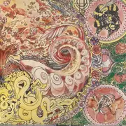 Double LP - Fucked Up - Hidden World - Black & White Labels