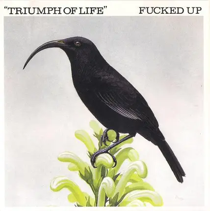 Fucked Up - TRIUMPH OF LIFE