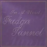 Fudge Tunnel - In A Word