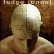 Fudge Tunnel - The Complicated Futility Of Ignorance