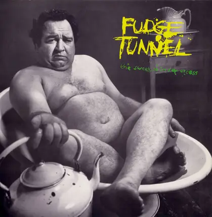 Fudge Tunnel - The Sweet Sound Of Excess