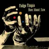 Double LP - Fudge Fingas - Now About How