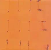 Füxa - TECHNO LIGHT