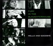 Fury In The Slaughterhouse - Hello And Goodbye