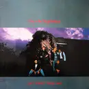 12inch Vinyl Single - Fury In The Slaughterhouse - Won't Forget These Days