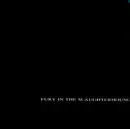 LP - Fury In The Slaughterhouse - Fury In The Slaughterhouse
