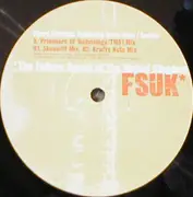 12inch Vinyl Single - Furry Phreaks Featuring Terra Deva - Soothe Part Two