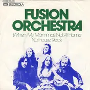 Fusion Orchestra - When My Mama's Not At Home / Nuthouse Rock