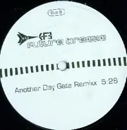 Future Breeze - Another Day