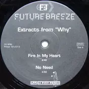 Future Breeze - Extracts From 'Why'