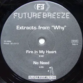 Future Breeze - Extracts From 'Why'