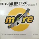 12inch Vinyl Single - Future Breeze - How Much Can You Take ?