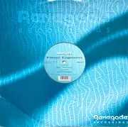 12inch Vinyl Single - Future Engineers - The Silence / Shattered