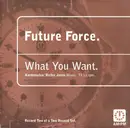 12inch Vinyl Single - Future Force - What You Want - (Karmasutra / Richie Jones Mixes) - Record Two Of A Two Record Set