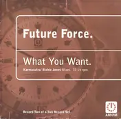 Future Force - What You Want - (Karmasutra / Richie Jones Mixes)