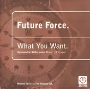 Future Force - What You Want - (Karmasutra / Richie Jones Mixes)