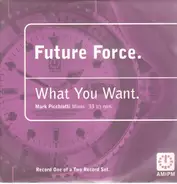 Future Force - What You Want (Mark Picchiotti Mixes)